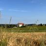 Grain now, © korngut Grain now, © korngut