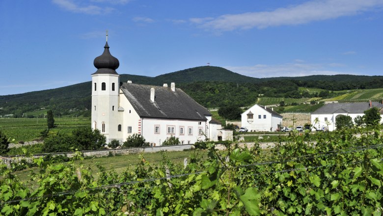 Thallern, © Freigut Thallern Vineyards and church in Thallern against a backdrop of hills.