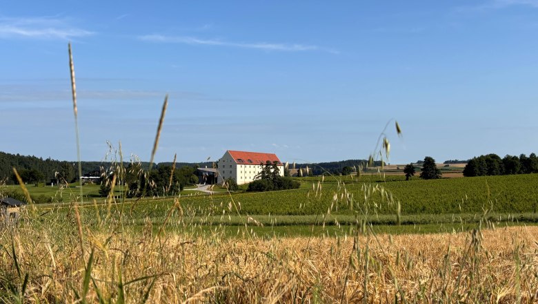 Korngut Now, © korngut Korngut Now, © korngut