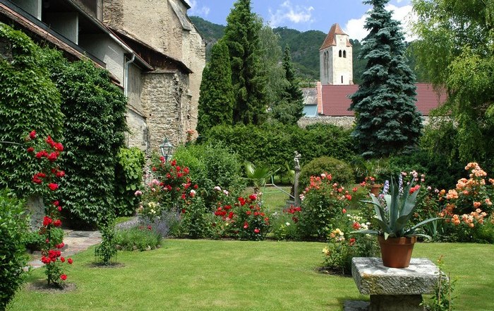 Monastery garden, © Hotel Richard Löwenherz A well-tended monastery garden with blooming roses, a lawn and an old stone wall in the background.