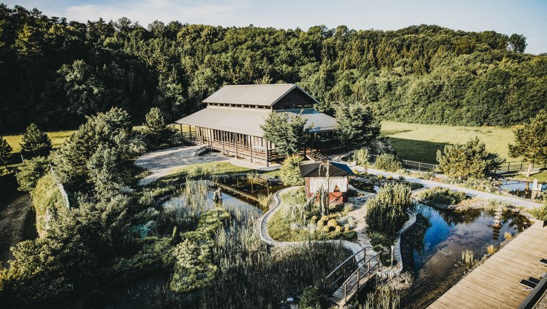 Aerial view of a Zen garden with pavilion and pond, surrounded by trees.