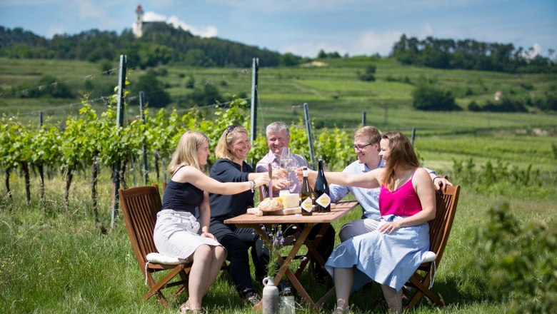 Group of people clinking glasses at a table in the vineyard.