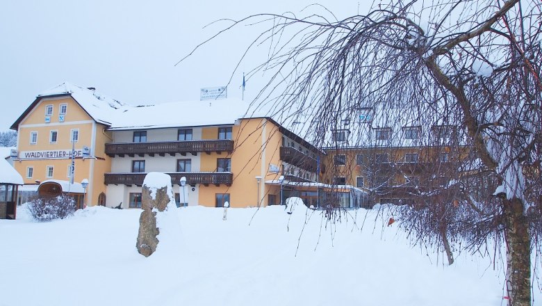 Wintery Waldviertel farm covered in snow.