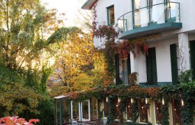 Exterior view of a house overgrown with ivy and autumn trees in the background.
