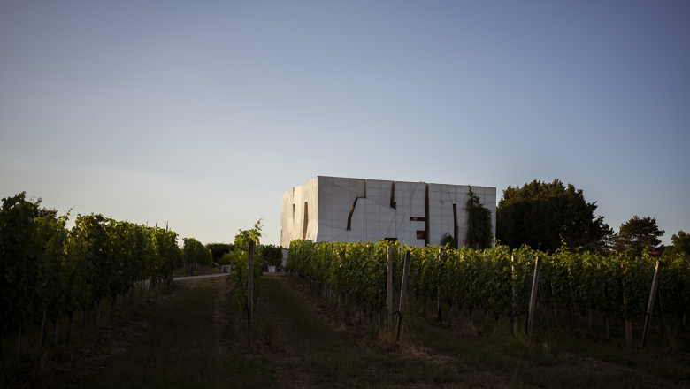 Modern architecture in the middle of a vineyard at sunset.