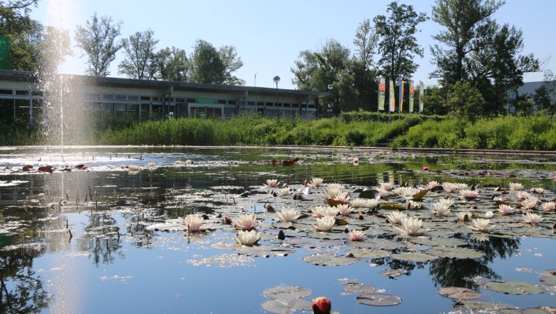 A pond with water lilies in the foreground, surrounded by trees with the Tulln Garden building in the background.