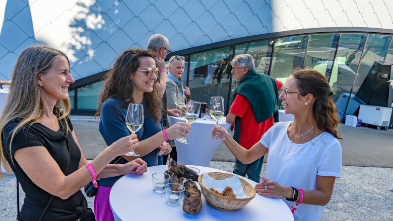 People at an outdoor wine tasting, smiling and clinking glasses.