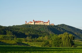 Göttweig Benedictine Abbey on a hill with a green landscape in the foreground.