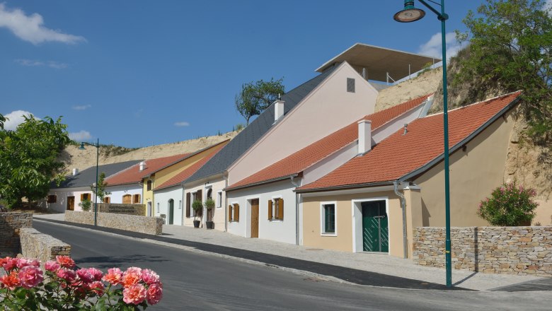 Row of colorful wine cellars in Krems, Austria, with blooming roses in the foreground.
