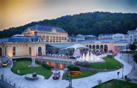 Exterior view of the Congress Center Baden with illuminated fountain and surrounding nature.