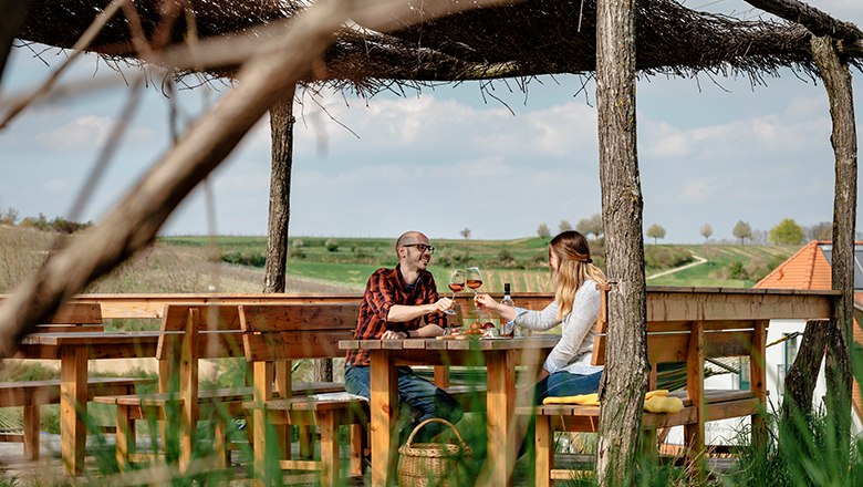 Two people clink glasses of wine on an outdoor terrace.