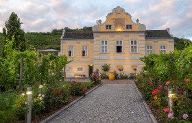 Yellow baroque building with garden and vines, twilight.