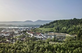 View of the Steigenberger Hotel & Spa Krems surrounded by vineyards and hills.