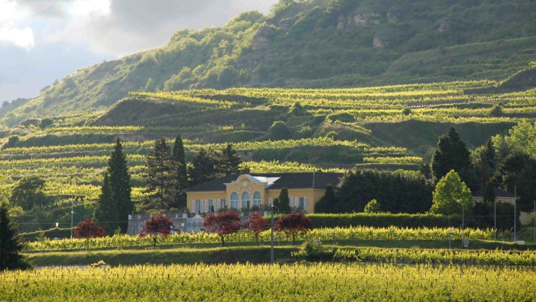 Weingut Sepp Moser, © Weingut Sepp Moser