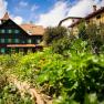 A traditional building with green shutters and a garden in the foreground under a blue sky.
