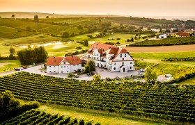 Aerial view of a hotel surrounded by vineyards at sunset.