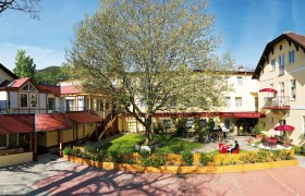Exterior view of the Hotel Payerbacherhof with a large tree in the courtyard.