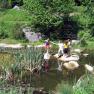 Children play by a pond in the countryside with water lilies and reeds.