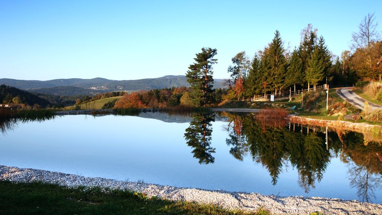 A tranquil pond reflects the trees and sky, surrounded by meadows and a house on the edge of the forest.