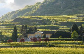 Sepp Moser winery with terraced vineyards in the background.