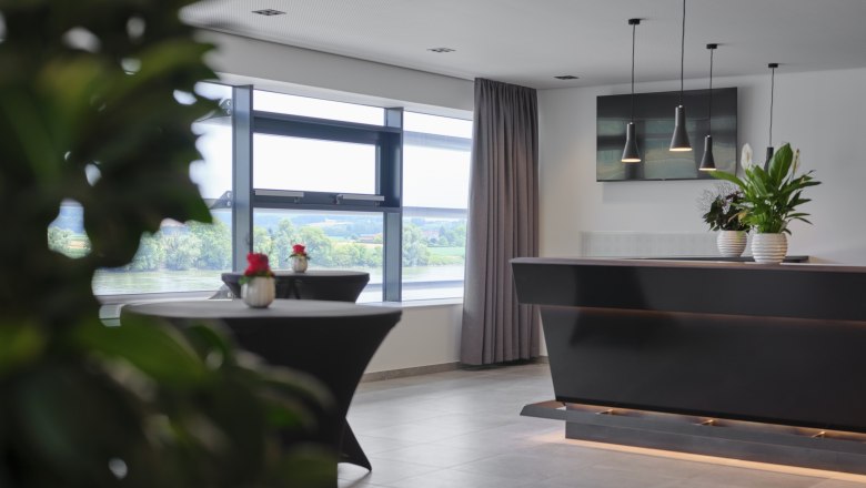 Modern bar in the Stadthalle Ybbs with plants and hanging lamps.