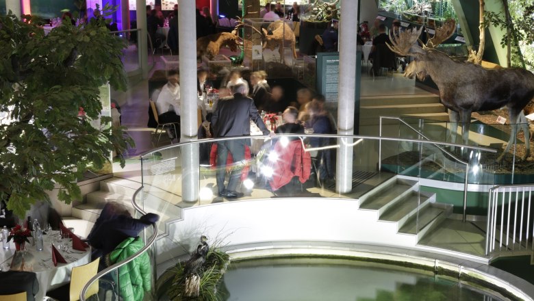 Interior view of the Museum Nieder&ouml;sterreich with stuffed elk and visitors at tables.