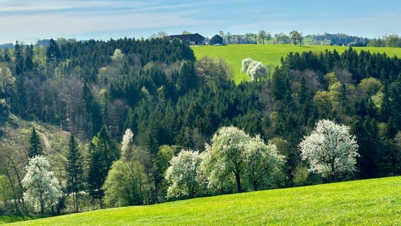 RelaxResort Kothm&uuml;hle, &copy; RelaxResort Kothm&uuml;hle