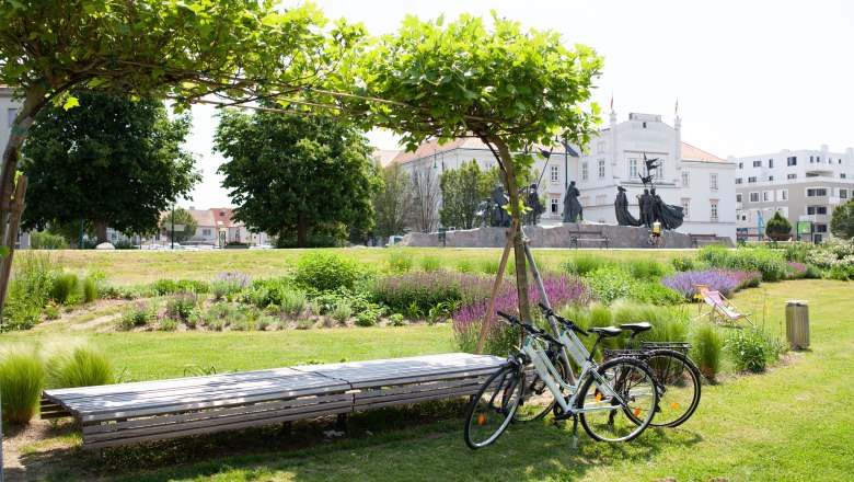 Two bicycles are parked on the green banks of the Danube, with the town hall visible in the background