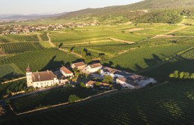 Aerial view of Freigut Thallern in the middle of vineyards.