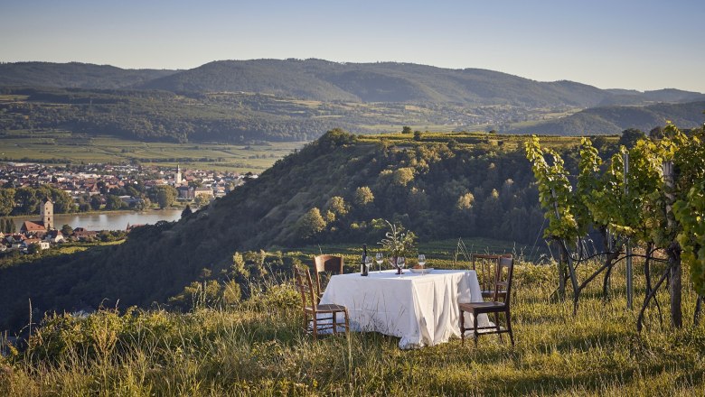 A laid table in a vineyard with a view of a town and hills in the background.