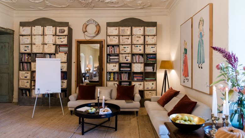 Cozy room with sofas, bookshelves and decorations.