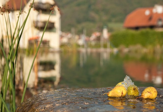 Pears on a stone at the edge of a pond with a blurred background.