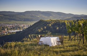 A laid table in a vineyard with a view of a town and hills in the background.