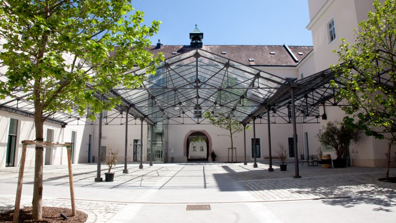 Inner courtyard with glass roof and trees, surrounded by buildings.