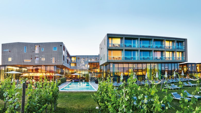 Modern hotel building with pool and vines in the foreground.