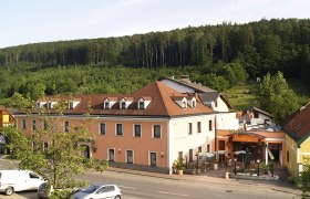 Exterior view of a hotel with terrace and surrounding forest.
