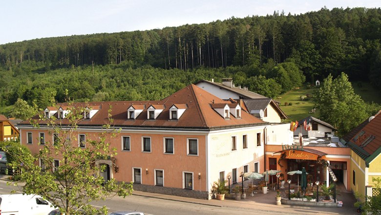 Exterior view of a hotel with terrace and surrounding forest.