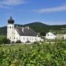 Vineyards and church in Thallern against a backdrop of hills.