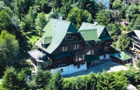 Aerial view of a large villa with a green roof, surrounded by trees.