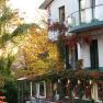 Exterior view of a house overgrown with ivy and autumn trees in the background.