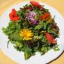 A plate with wild herb salad and edible flowers on a yellow tablecloth.