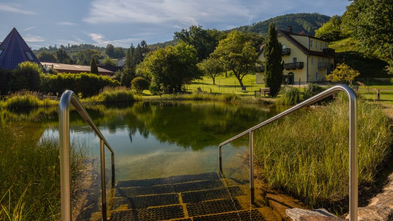 Steps lead to a pond with clear water, surrounded by green countryside and a house in the background, under a bright blue sky with sunshine.