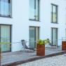 Modern terrace with sun loungers and plants in front of a building with large windows.