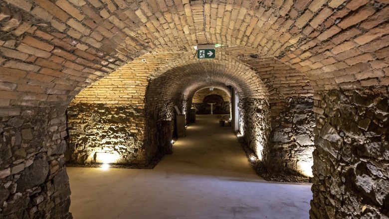 Vaulted cellar with brick walls and lighting.