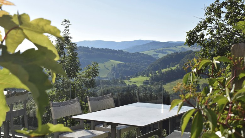 Terrace with table and chairs, surrounded by green foliage, overlooking a hilly landscape.