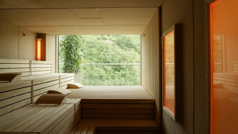 Interior view of a modern sauna with wooden benches and a large window overlooking the green landscape.