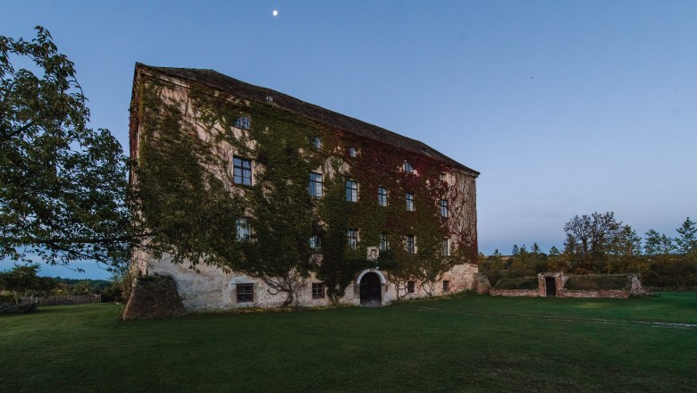 Old building overgrown with ivy, surrounded by meadow and trees, with moon in the sky at dusk.