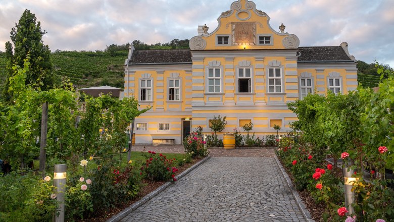 Yellow baroque building with garden and vines, twilight.