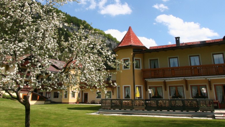 A yellow hotel with red roofs and a blossoming tree in the foreground.