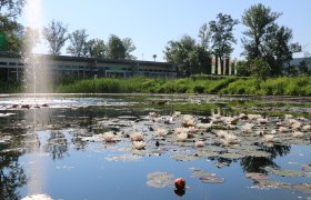A pond with water lilies in the foreground, surrounded by trees with the Tulln Garden building in the background.
